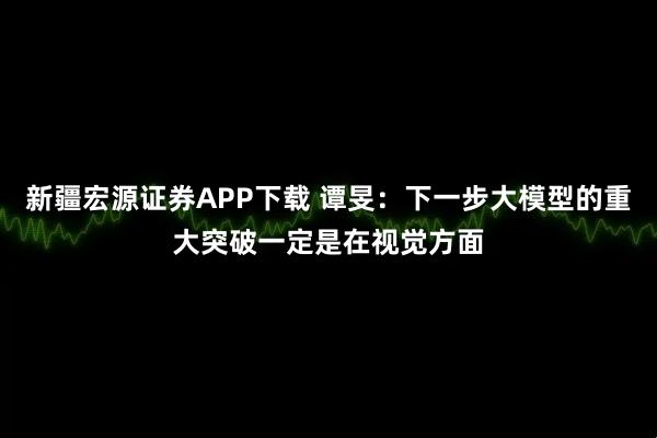 新疆宏源证券APP下载 谭旻:下一步大模型的重大突破一定是在视觉方面