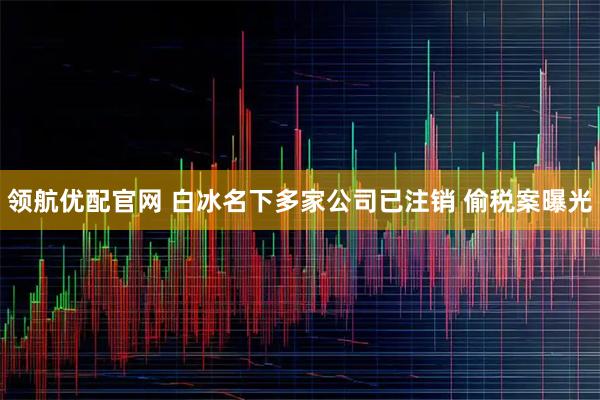 领航优配官网 白冰名下多家公司已注销 偷税案曝光
